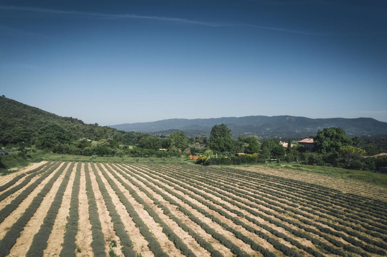 Studio Sud Luberon Grambois Buitenkant foto
